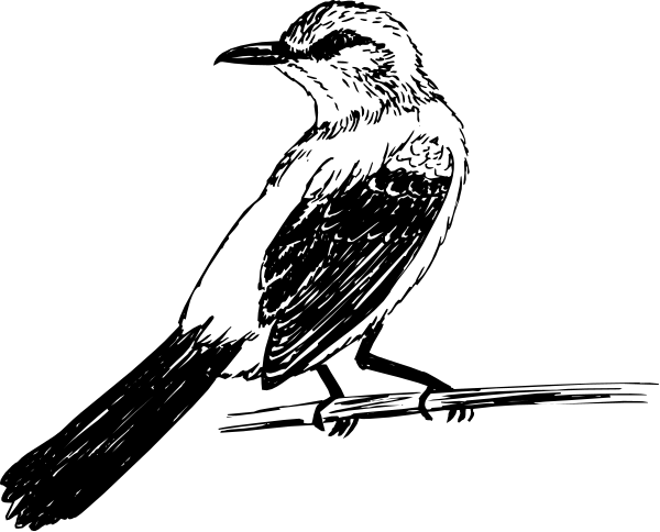 The image shows a black silhouette of an animal against a dark background with no other discernible details visible due to its small size and low resolution.
