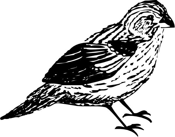 The black and white silhouette of a bird flying against an indistinct background with no other discernible elements present in this clip-art image.