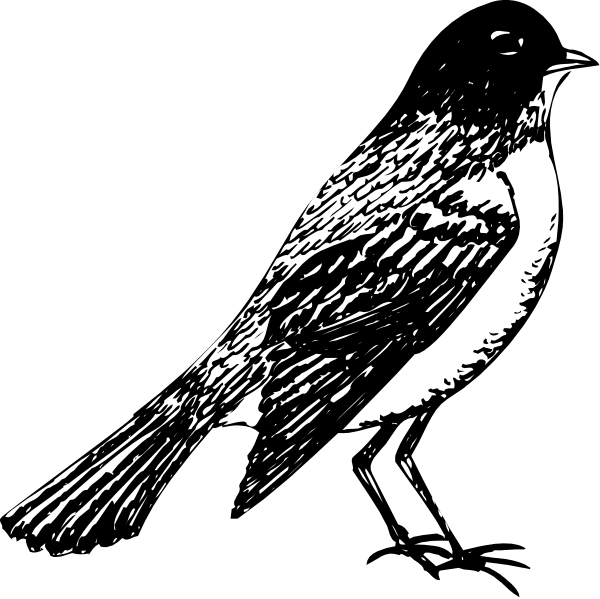 The black and white illustration shows two birds with outstretched wings walking side by side on a dark background.