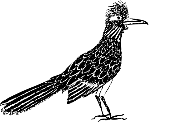 The black and white silhouette of a bird with outstretched wings against an indistinct background.