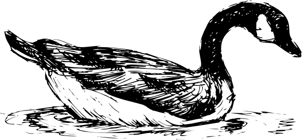 The black and white photo shows a bird with its wings spread wide against an indistinct background.