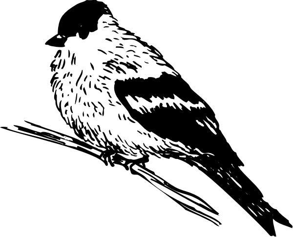 The image shows a black space with white text that appears to be upside down; it is difficult to read due to its orientation in this clip-art format.