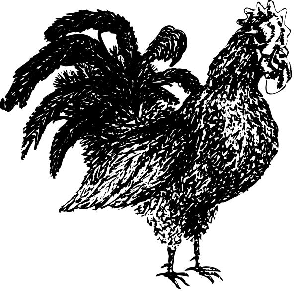 The black and white silhouette of a rooster with its feathers spread out against a dark background.