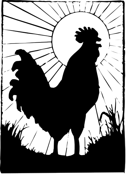 The black silhouette of a rooster standing on grass under an orange sun with rays extending outward from behind it in front of what appears to be a stylized barn door.