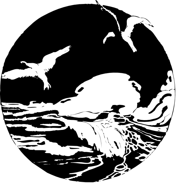 The images show a bird flying over water at night with silhouettes of trees against a dark sky background.
