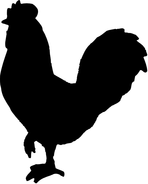 The image shows a black square with white lines creating an abstract pattern against a gray background.