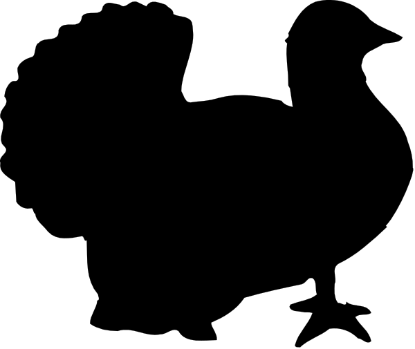 The image shows a black and white pixelated representation of two lines crossing each other at an angle with no additional context provided about any possible content within them.