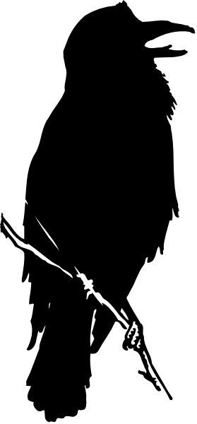 The image shows a black bird with white feathers flying over an open book on top of a table against a gray background.