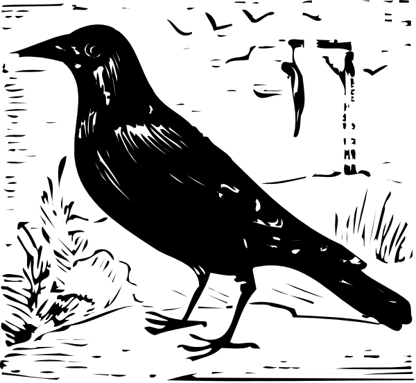 The black silhouette of a bird flying against an equally dark background with no other discernible features visible due to low light conditions.