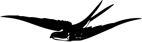 The image shows a black and white photo of an object that appears to be a person sitting on top of another object which looks like it could possibly be a chair with wheels attached at its base.