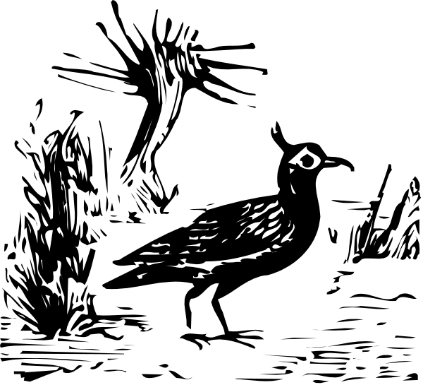 The black cat appears to be looking at something off camera with a curious expression on its face against an indistinct background that is dark in color.