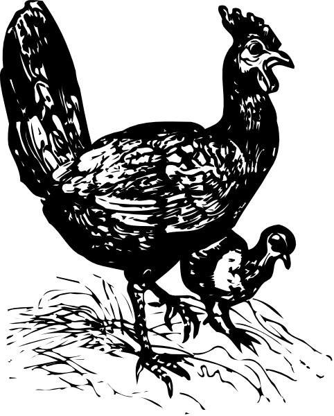The black and white photo features a turkey on top of an oven with its wings spread out wide as if it's flying above it.