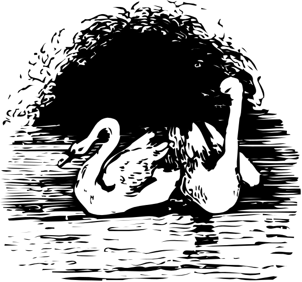 The black and white illustration shows two swans swimming on a body of water with their necks intertwined near each other's heads in what appears to be an intimate pose.