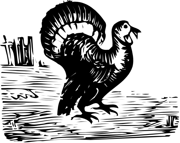 The black and white photo shows a person standing on their hind legs with an exaggeratedly large head looking down at something in front of them.