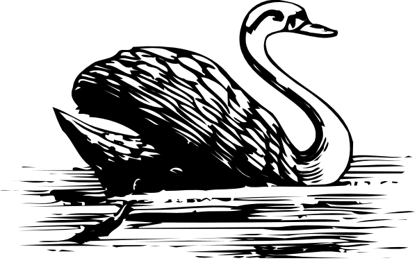 The black and white illustration shows a single bird with outstretched wings standing on what appears to be water.
