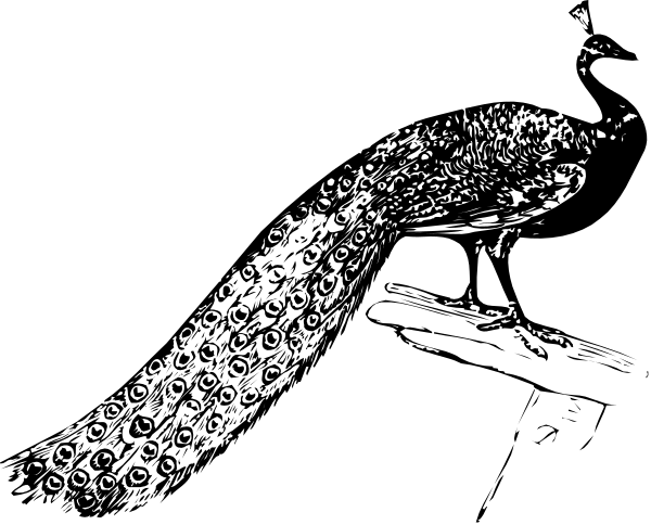 The black and white photo shows a close up of bubbles with soap suds on them against a dark background.