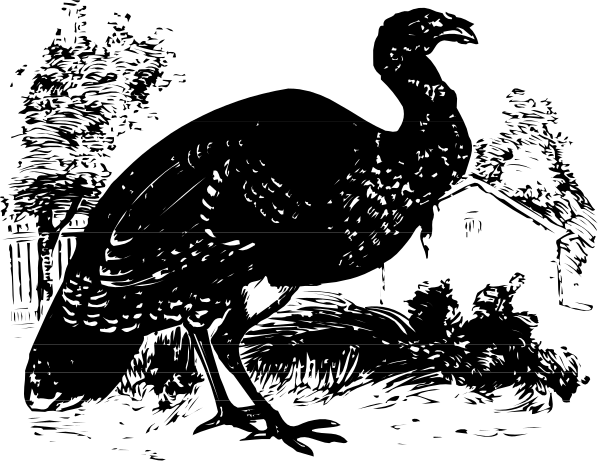The image shows a black bird sitting on top of an object that resembles a book with pages open to reveal its contents; there is no text present in this clip-art illustration.
