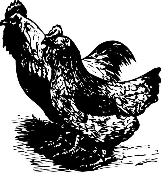 The black and white silhouette of a rooster dancing with its wings spread out against an indistinct background.