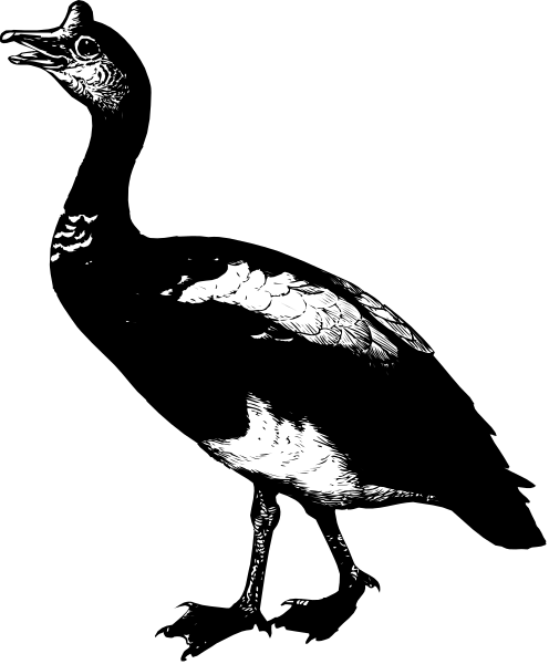 The black and white photo shows a crow perched on top of an object that appears to be made from paper money notes with serial numbers visible; it's set against a dark background which contrasts sharply with its silhouette, emphasizing its presence in this image.