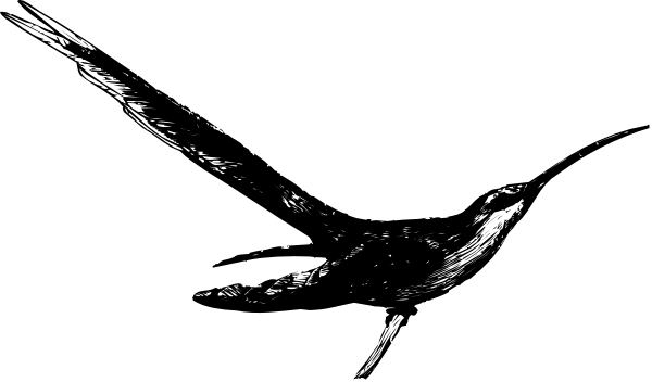 The image shows a black space with white speckles that resemble stars against an indistinct background.