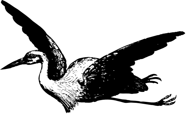 The image shows a black bird flying against an indistinct background with its wings spread wide open.