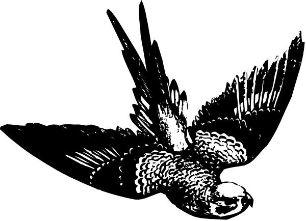 The black cat with a white face appears to be looking at something off camera while sitting on what looks like an object that could possibly resemble grass in color but is likely just another piece of clip-art furniture, given its abstract nature and lack of detail.