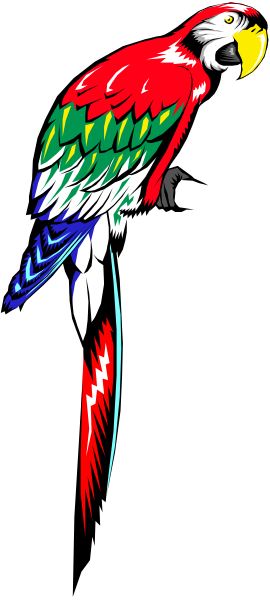 The image shows a colorful parrot with green wings standing on top of what appears to be an open book cover that has black pages inside.