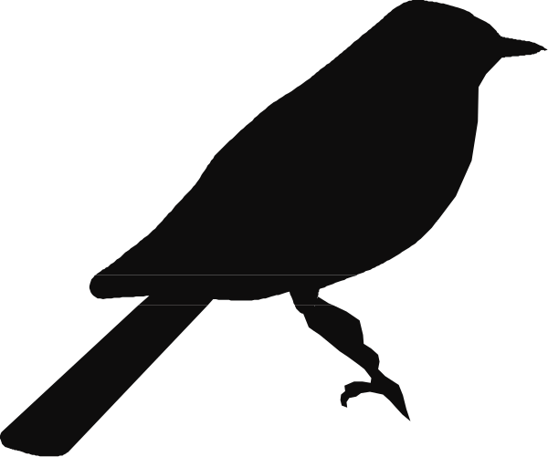 The black silhouette of a bird on top right corner against white background with gray border around it.