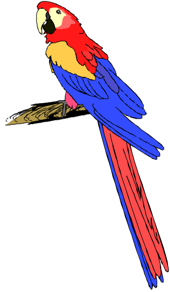 The image shows a colorful parrot with red wings perched on what appears to be an open book cover featuring blue pages inside.