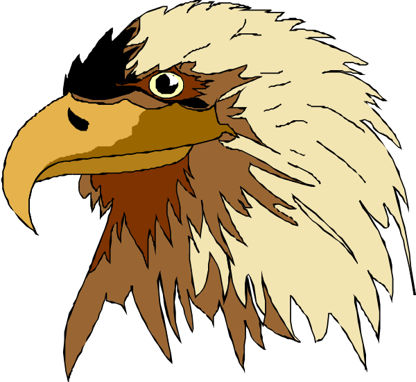 The image shows a cartoon eagle with an American flag motif on its head perched against a black background.