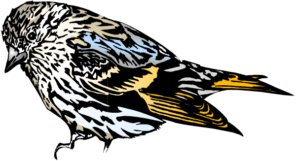 The image shows a stylized bird with outstretched wings flying against a dark background.