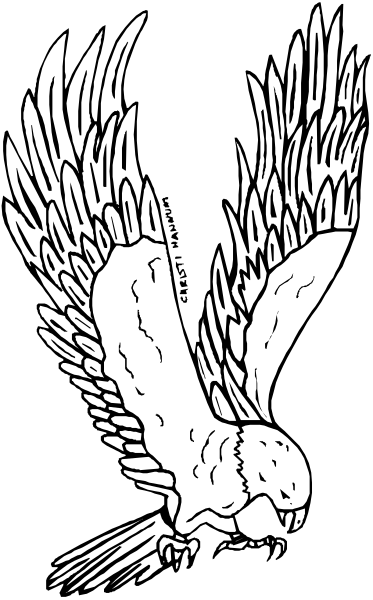 The black and white illustration shows a stylized eagle with its wings spread wide against an unseen background.