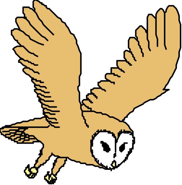 The images show a cartoon owl flying with its wings spread out against two different backgrounds: black for the left image and white for the right one.
