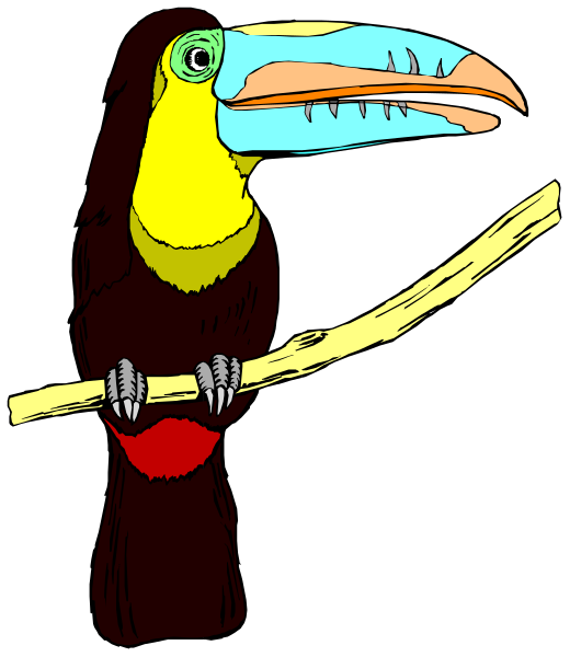 The image features a colorful toucan perched on a branch with its beak open against a black background.