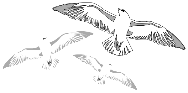 The black and white illustration shows a flock of birds flying over an ocean with waves crashing below them against a dark background.