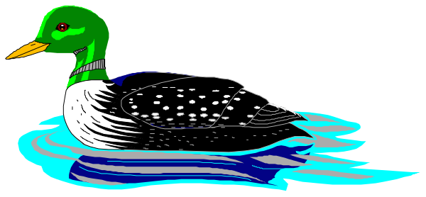 The image shows a cartoon duck swimming on water with its reflection visible beneath it.