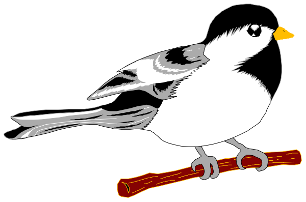 The image shows a cartoon bird with an open beak holding a red stick on its feet while standing next to it in front of what appears to be a black background.