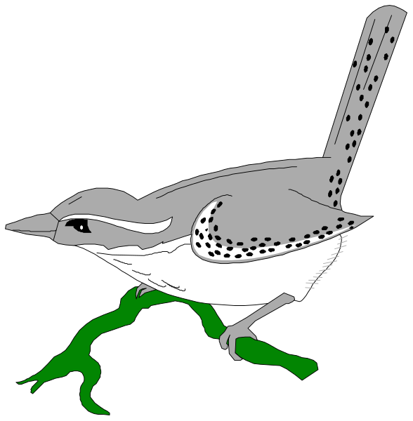 The image shows two different illustrations of a bird with spotted feathers perched on branches against contrasting backgrounds: in one it is daytime outside under clear skies; in another it's night time, as indicated by darkness and stars above.
