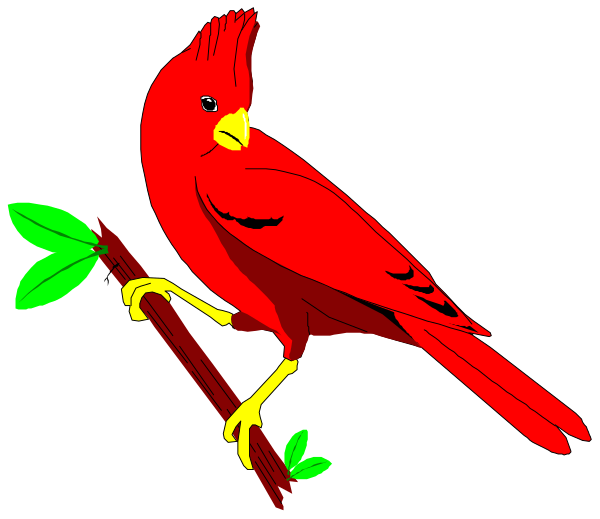 The image shows a red cardinal perched on a branch with green leaves against a black background.