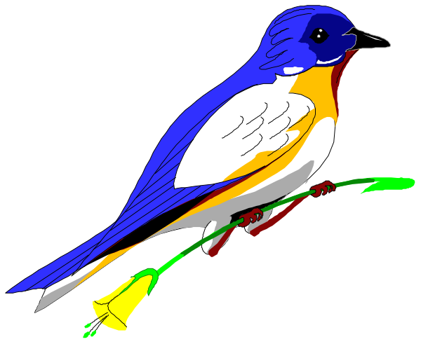 The image shows a cartoon bluebird with an orange breast perched on what appears to be a branch of cherry blossoms against a black background.