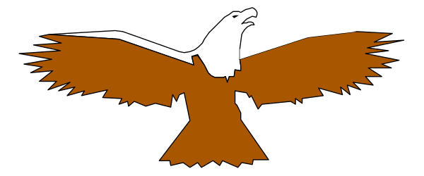 The image shows a stylized eagle with outstretched wings against an abstract background that resembles feathers in shades of brown and black.