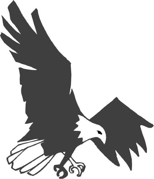 The black silhouette of an eagle with a white stripe on its wing is depicted against a dark background.
