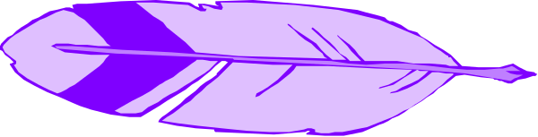 The image shows a purple feather with white detailing on it against a grey background.