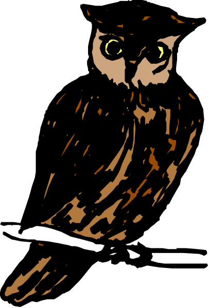 The image shows a cartoon owl with large eyes sitting on top of what appears to be an open book.