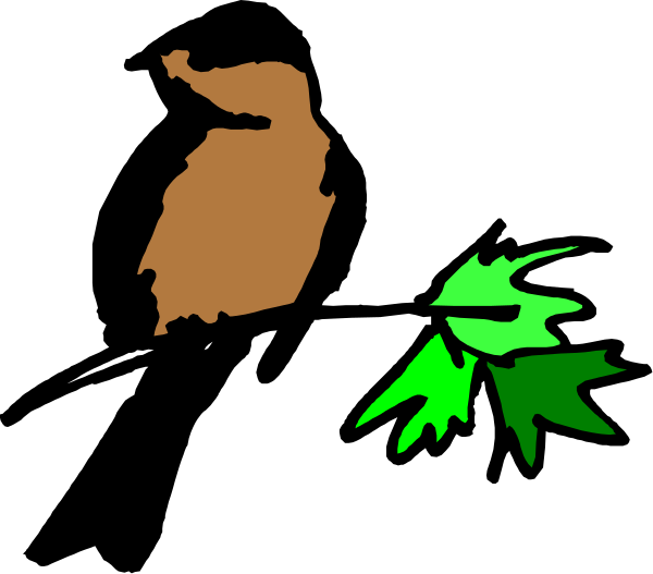 The image shows a black background with three distinct elements: on the left side is an orange bird; below it to its right is green foliage that resembles maple leaves; in the top center, there's a brown silhouette of what appears to be a person or character.