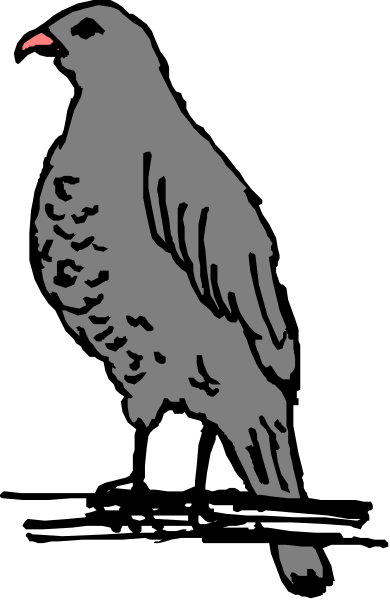 The black and white illustration features a bird with its wings spread wide on top of what appears to be an object resembling a book lying flat in front of it.