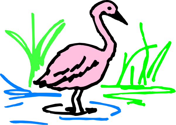 The picture shows a pink flamingo standing on lily pads with reeds around it near water's edge in what appears to be an outdoor natural environment during daylight hours.