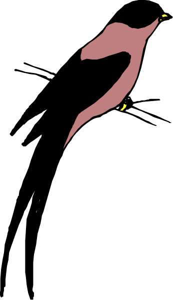 The image shows a closeup of an object with red text on it against a black background.