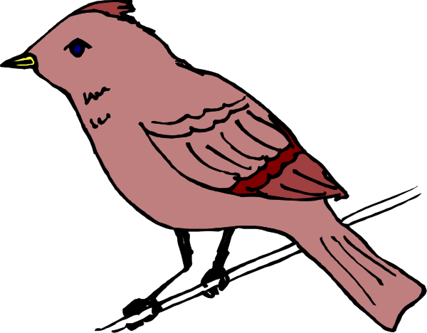 The image shows a cartoon of an orange bird with red wings perched on top of what appears to be a pink flower.