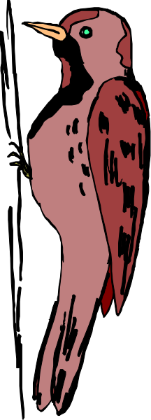 The image shows a red bird with yellow markings on its wings standing next to another similar looking bird that is partially obscured by an overlay of black lines creating a pixelated effect in front of it.